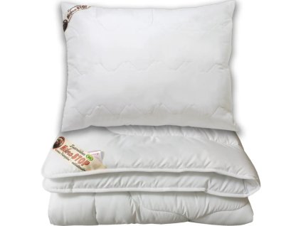 Snímek obrazovky 2025 10 20 111940