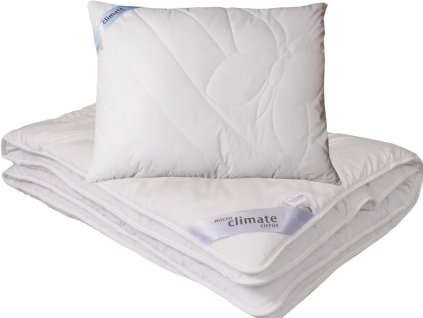 Snímek obrazovky 2025 10 20 132648