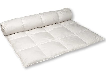 Snímek obrazovky 2025 10 20 145120