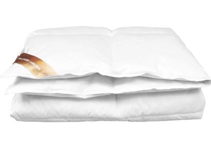 Snímek obrazovky 2025 10 20 145013