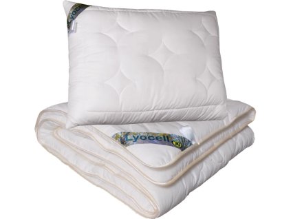 Snímek obrazovky 2025 10 21 093316