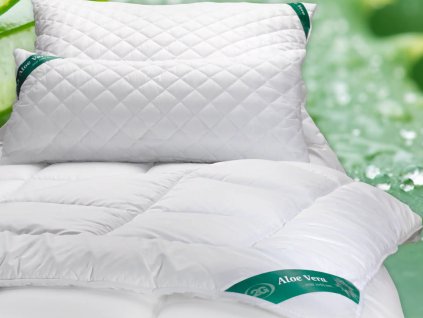 Snímek obrazovky 2025 10 21 093829