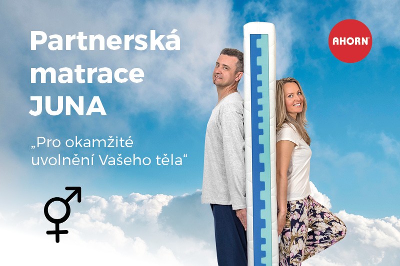 Matrace Ahorn Juna 20 Rozměr: 80x190 cm (obrázek 3)