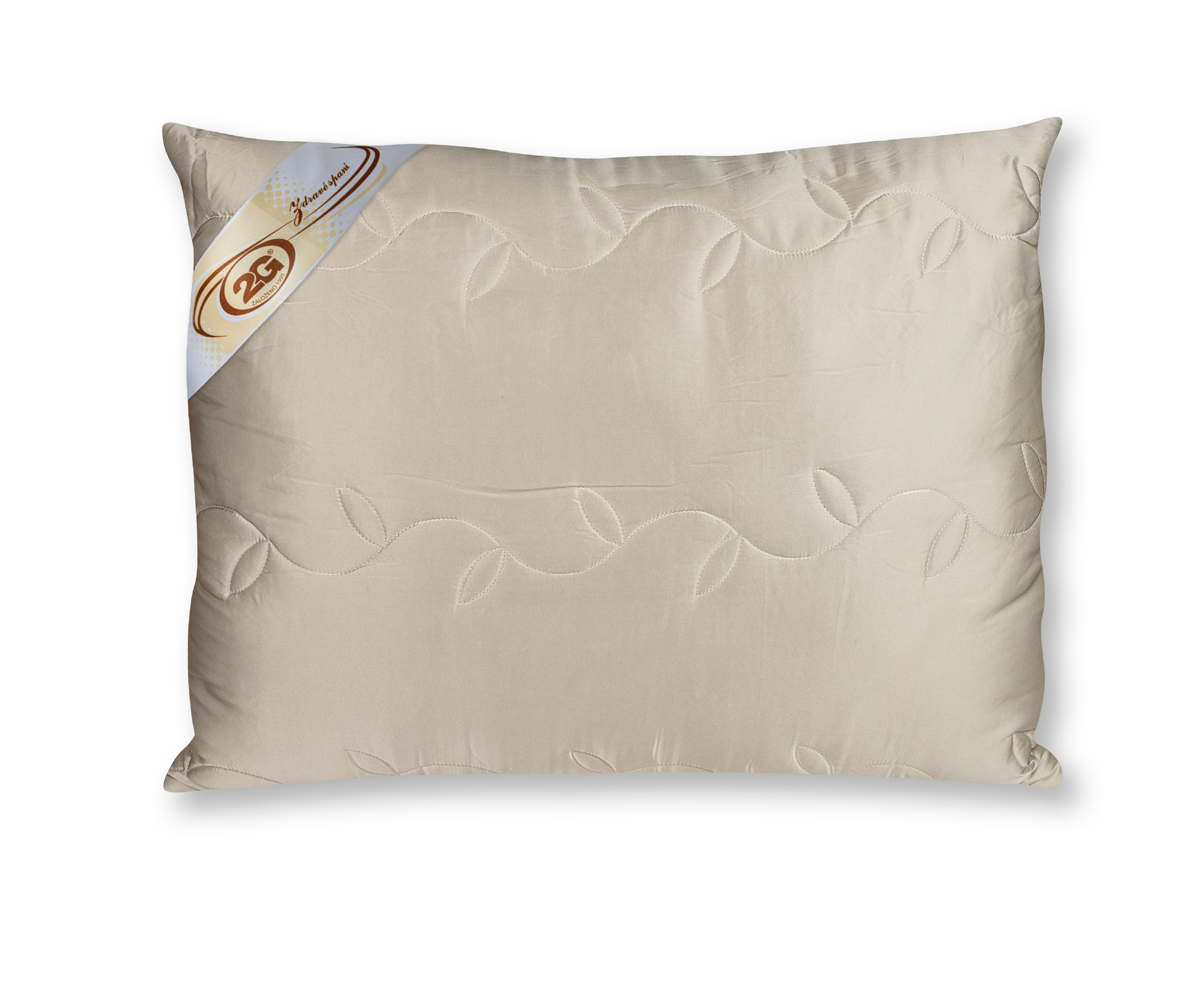 Levně 2G Lipov Saténový polštář SILK hedvábí Rozměr: 50x70 cm