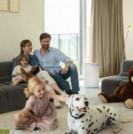 Tipy pro zvládání alergií: Jak udržet domácnost bez alergenů