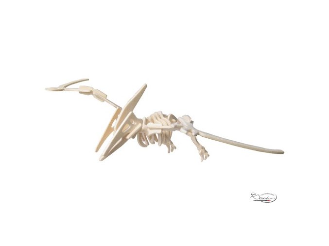 Dřevěná skládačka 3D puzzle - Pteranodon