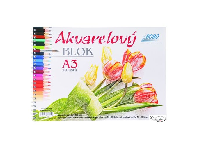 Akvarelový blok A3 Bobo