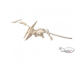 Dřevěná skládačka 3D puzzle - Pteranodon