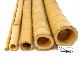 Bambus přírodní 10 cm / 10 ks
