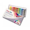 Pentel Arts Oil Pastels 16