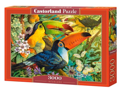 Puzzle Castorland 3000 dílků - Tukani