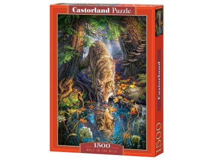 Puzzle Castorland 1500 dílků - Pijící vlk v divočině