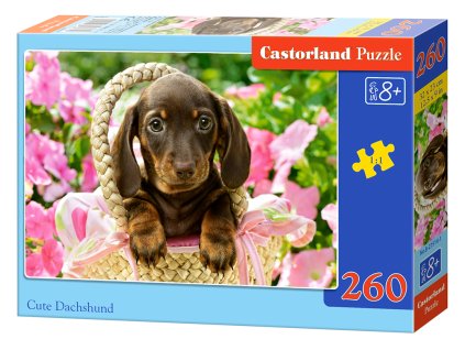 Puzzle Castorland 260 dílků - Roztomilý jezevčík v košíku