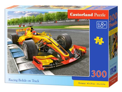 Puzzle 300 dílků- Formule na trati