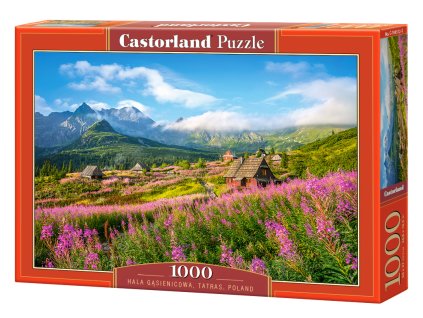 Puzzle Castorland 1000 dílků - Dolina Gąsienicowa, Tatry, Polsko
