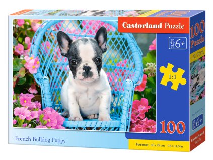 Puzzle Castorland 100 dílků premium - Štěně Francouzského buldočka