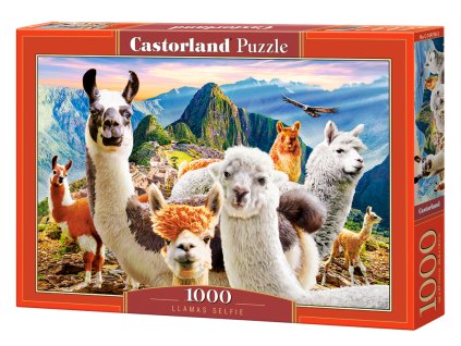 Puzzle Castorland 1000 dílků - Lamy