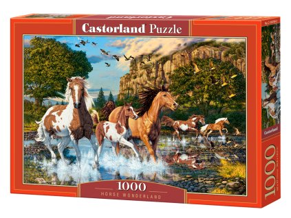 Puzzle Castorland 1000 dílků - Koňská říše divů