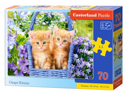 Puzzle Castorland 70 dílků premium - Zrzavá koťata