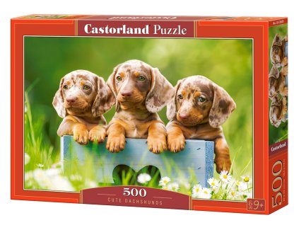 Puzzle Castorland 500 dílků - Roztomilí jezevčíci