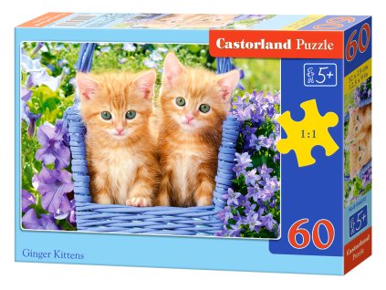 Puzzle Castorland 60 dílků - Zrzavá koťata