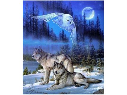 Diamantový obrázek - Vlci a sova 30x40cm