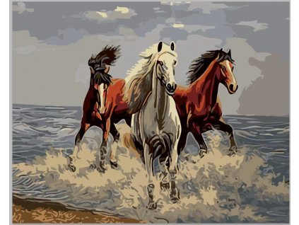 Malovaní podle čísel na plátno na dřevěném rámu 40x50cm Koně ve vlnách