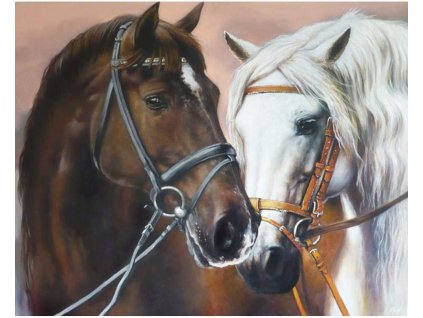 Diamantový obrázek - Koně v objetí 30x40cm