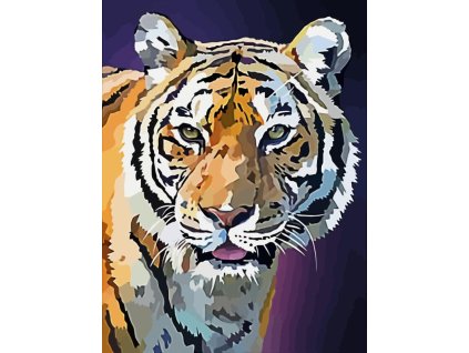 Malování podle čísel na plátno 30x40cm-Tygr v noci