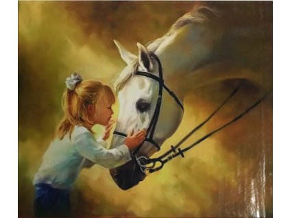 Malování podle čísel na plátno 40x50cm Kůň s dívkou