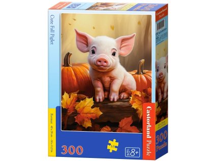 030569 box