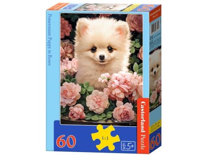 Puzzle Castorland 60 dílků - Štěně Pomeraniana v růžích