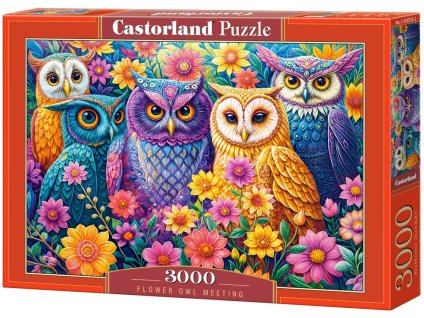 Puzzle Castorland 3000 dílků - Flower Owl Meeting
