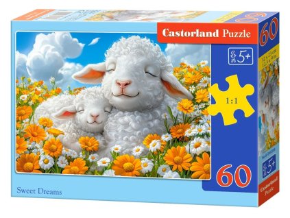 Puzzle Castorland 60 dílků - Sladké snění (Sweet Dreams)