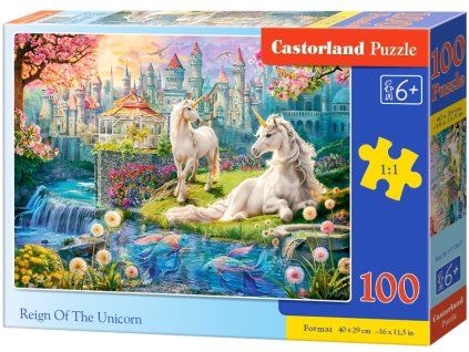 111367 box