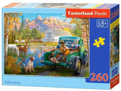 27736 1 box