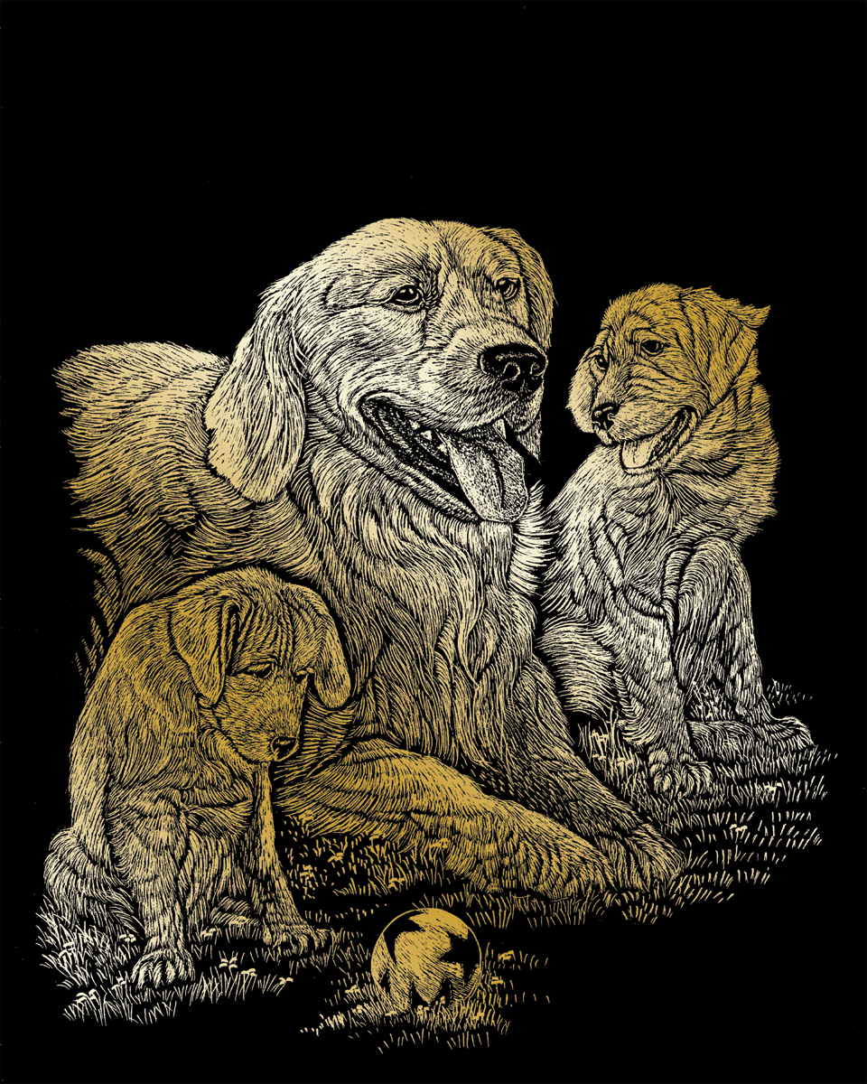 Škrabací obrázek- Psi- zlatý retrívr