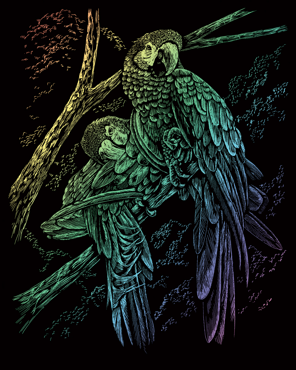 Škrabací obrázek- Duhový- papoušci