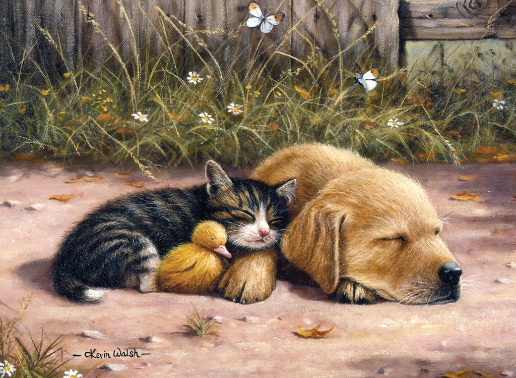 Malování podle čísel 30x40 cm - Spící pes s kočkou