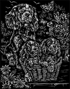 Vyškrabovací obrázek - duhový - Pejsci