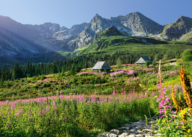 Puzzle Cherry Pazzi 1000d. Tatry
