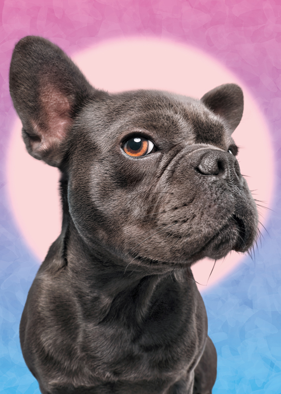 Puzzle Cherry Pazzi 1000d. I’m watching you