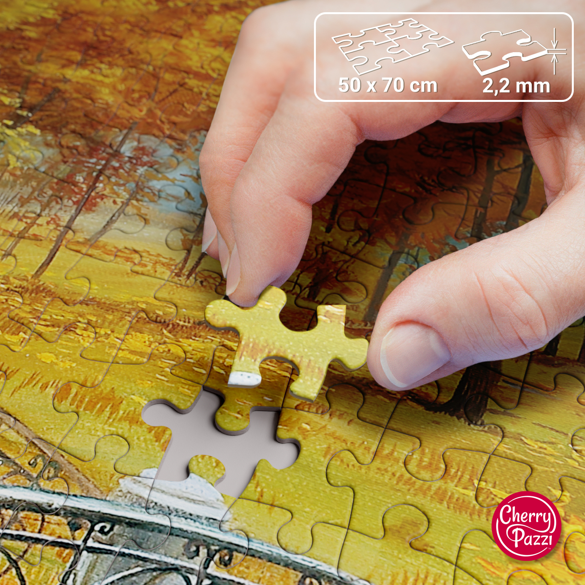 Puzzle Cherry Pazzi 1000d. Podzim v parku