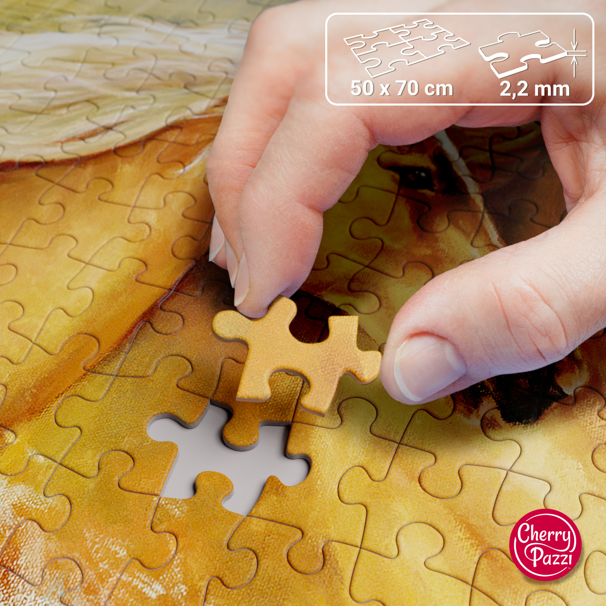 Puzzle Cherry Pazzi 1000d. Koně ve vodě