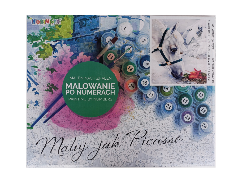 Malovaní podle čísel na plátno 40x50cm Bílý kůň