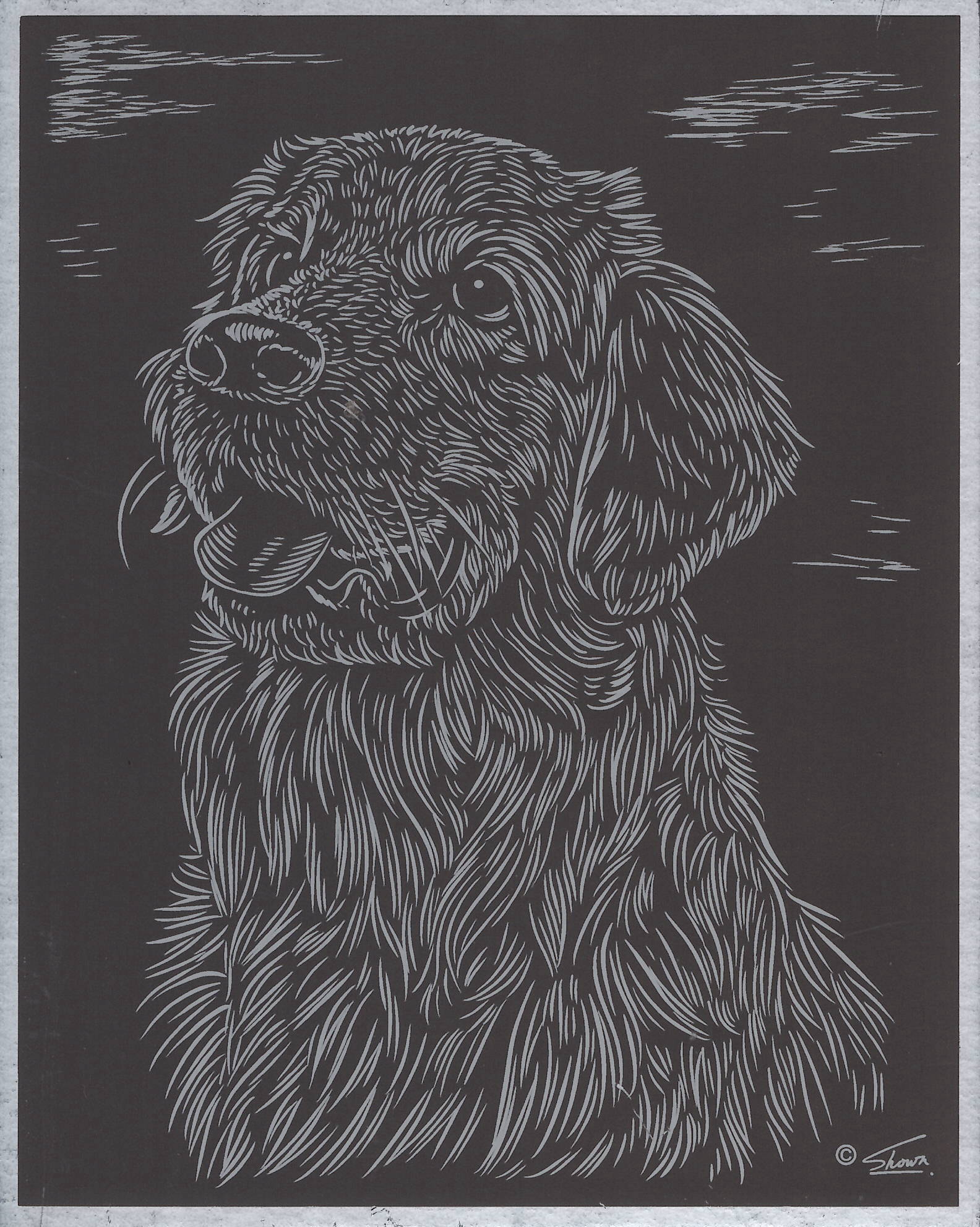 Vyškrabovací obrázek stříbrný 20x25 cm - Pes