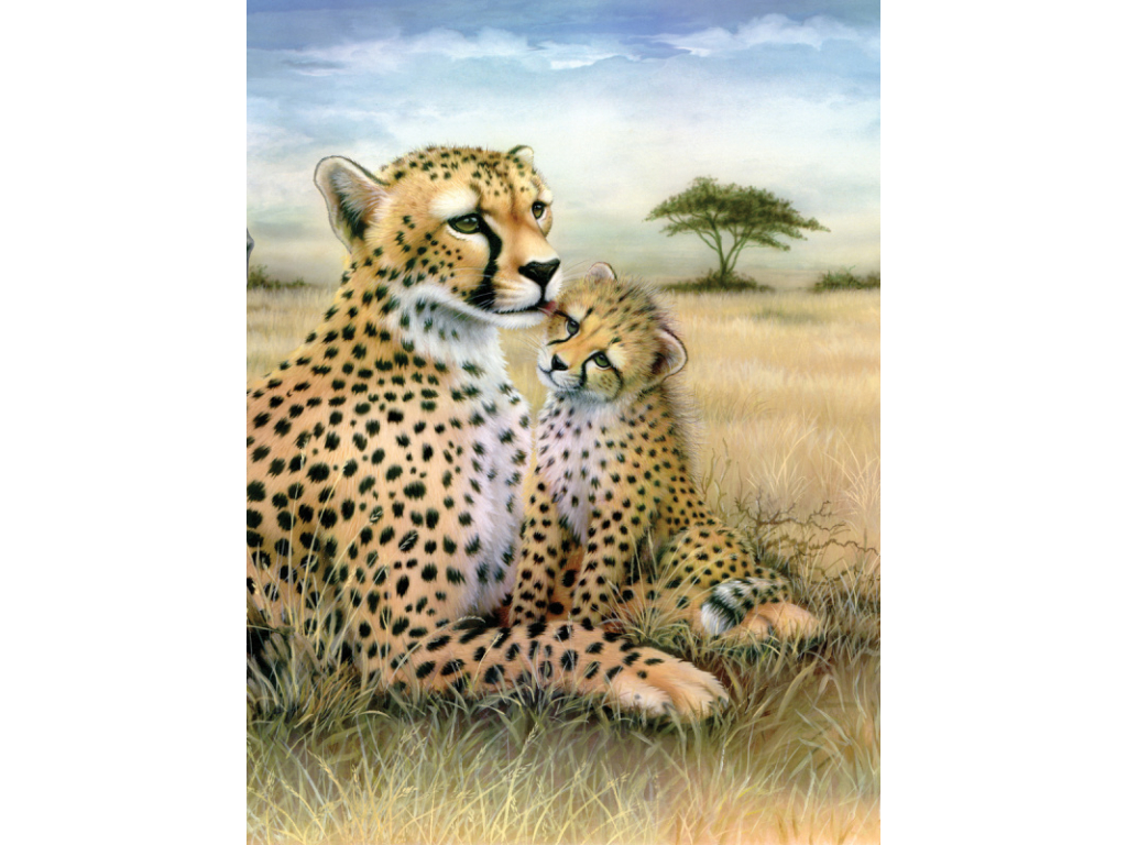 Malování podle čísel 22x30 cm- Leopard s mláďatem