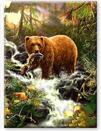 Diamantový obrázek - Medvěd a ryba 30x40cm