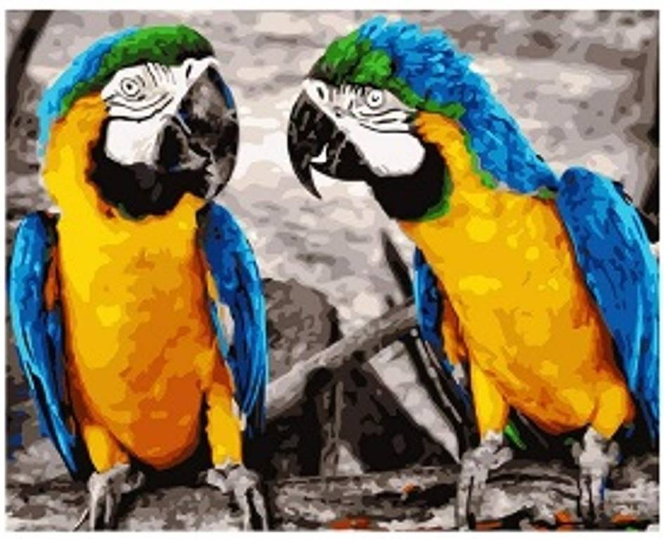 Diamantový obrázek - Papoušci 30x40cm