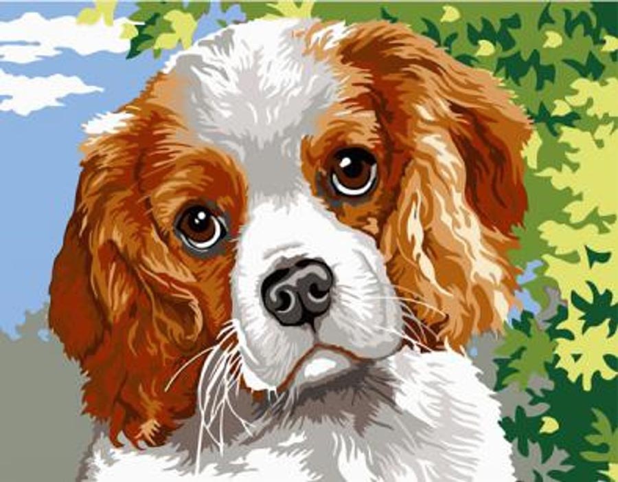 Diamantový obrázek - Pejsek 30x40cm